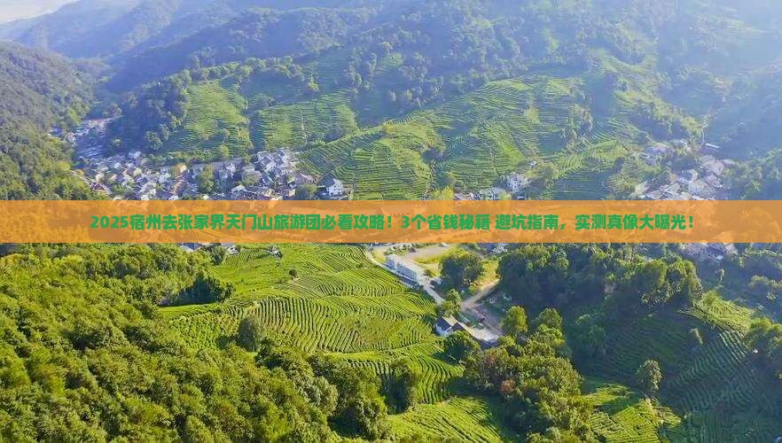宿州去张家界天门山大型旅游团