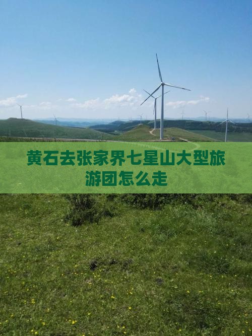 黄石去张家界七星山大型旅游团