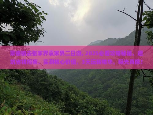 景德镇去张家界袁家界二日游