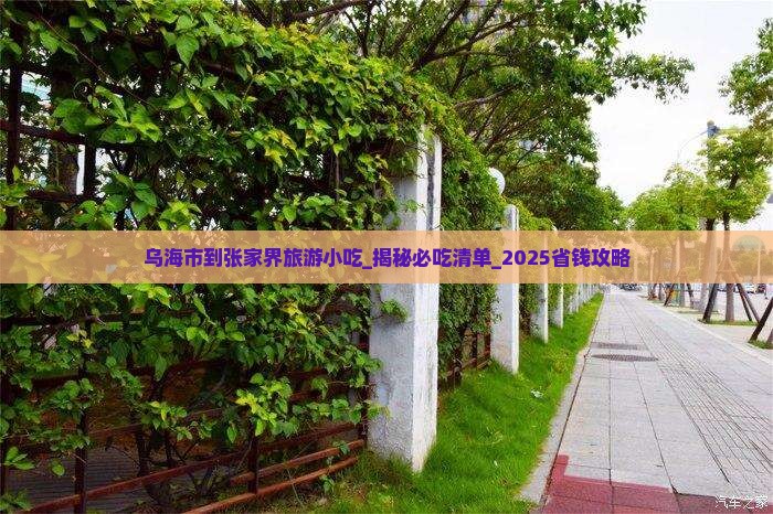 乌海市到张家界旅游小吃