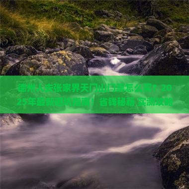 德州去张家界天门山门票