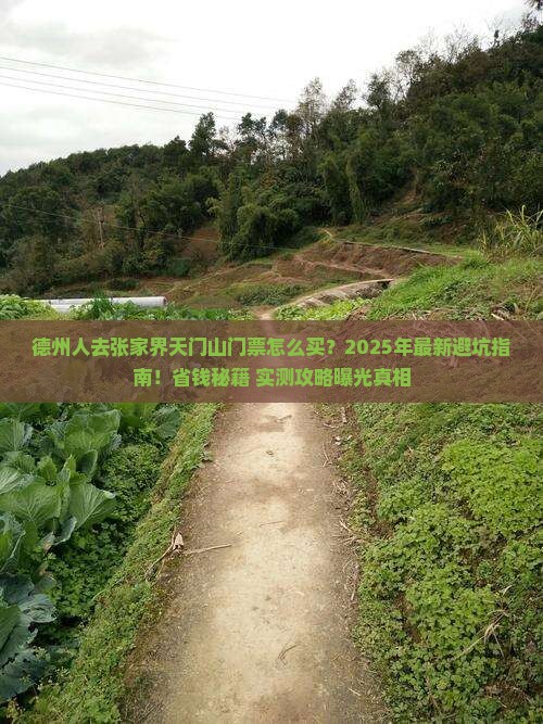 德州去张家界天门山门票