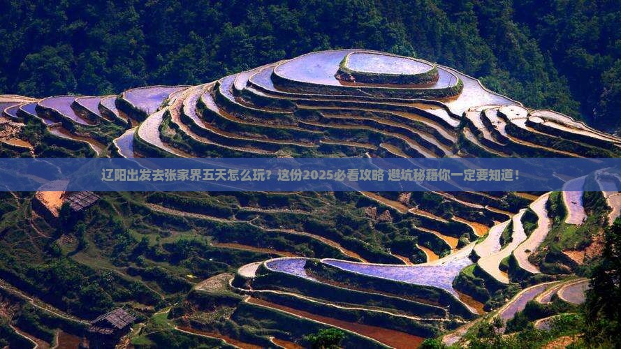辽阳去张家界五日游