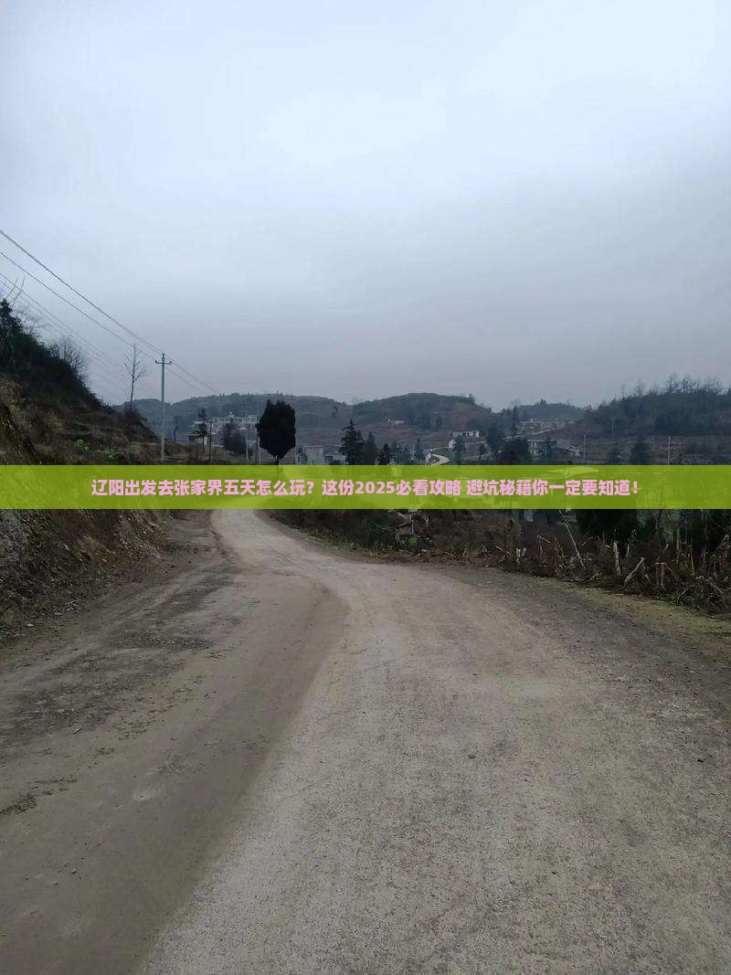 辽阳去张家界五日游