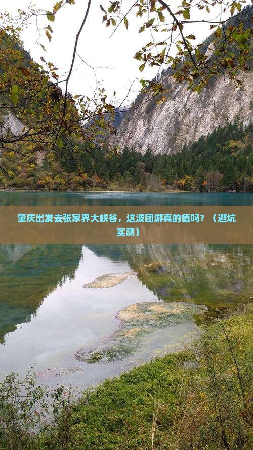 肇庆去张家界大峡谷团体旅游