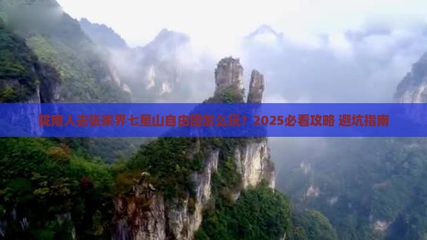 陇南去张家界七星山自由团