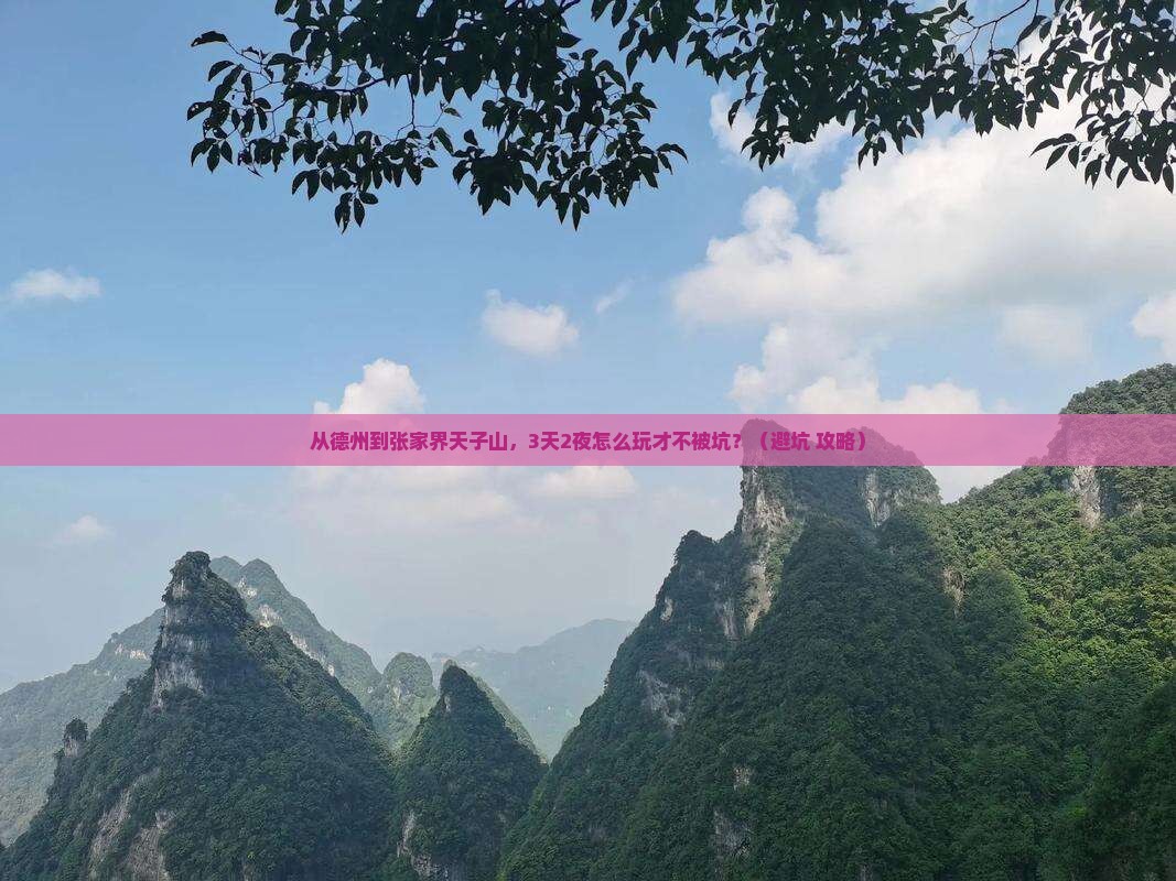 德州到张家界天子山旅行社