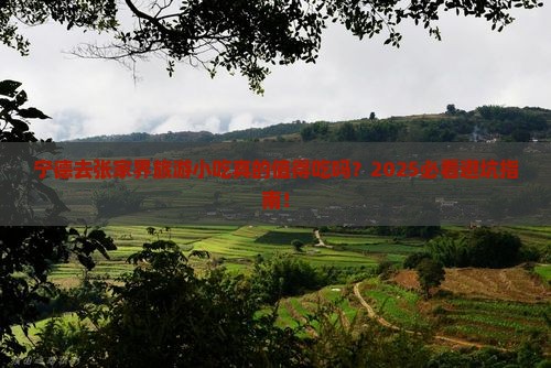 宁德去张家界旅游小吃