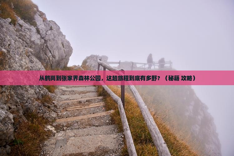 鹤岗到张家界森林公园景点