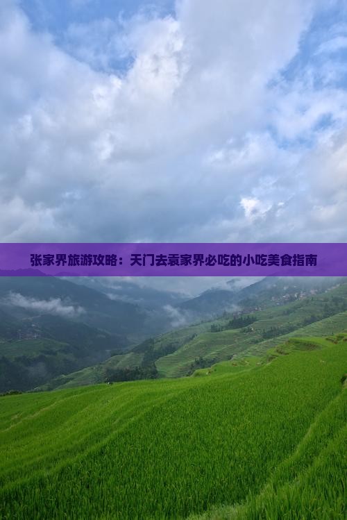 天门去张家界袁家界旅游小吃