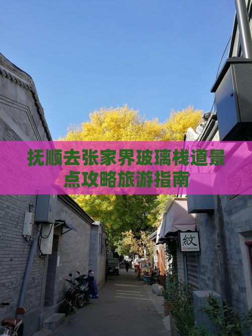 抚顺去张家界玻璃栈道哪里玩