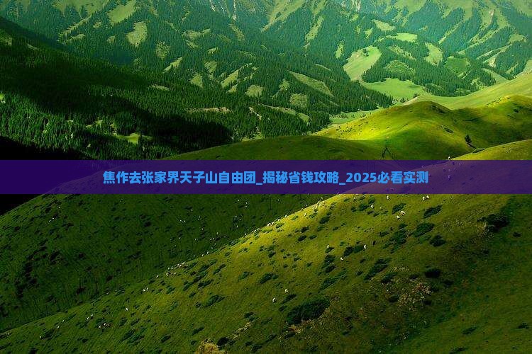焦作去张家界天子山自由团