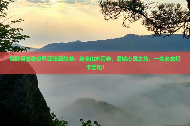 鄢陵县去张家界武陵源旅游