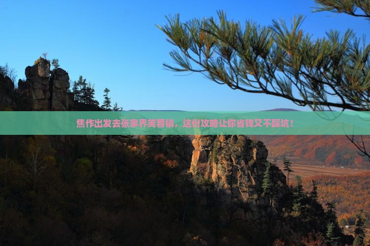 焦作去张家界芙蓉镇旅行社