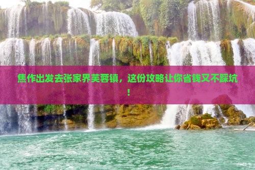 焦作去张家界芙蓉镇旅行社