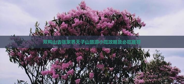 双鸭山去张家界天子山旅游小吃