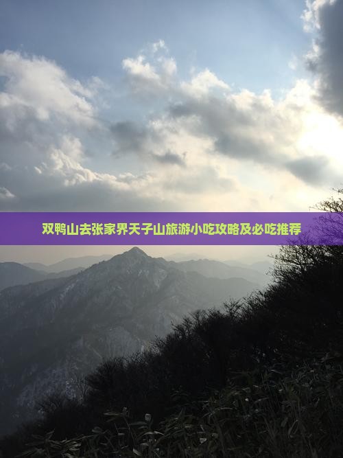 双鸭山去张家界天子山旅游小吃