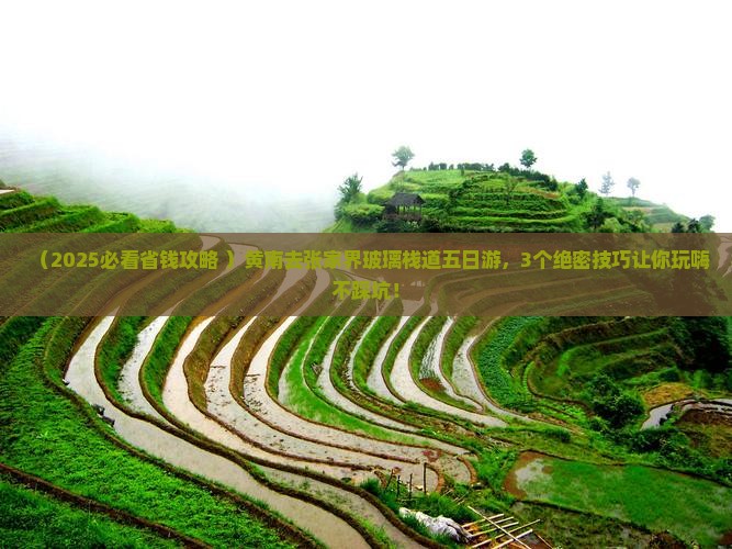 黄南去张家界玻璃栈道五日游