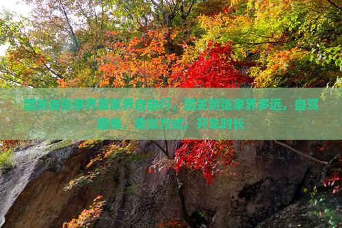 韶关去张家界袁家界自由行