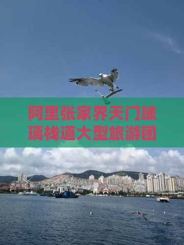 阿里去张家界玻璃栈道大型旅游团