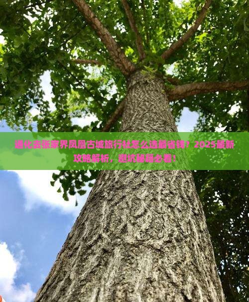 通化去张家界凤凰古城旅行社 通化去张家界凤凰古城旅行社