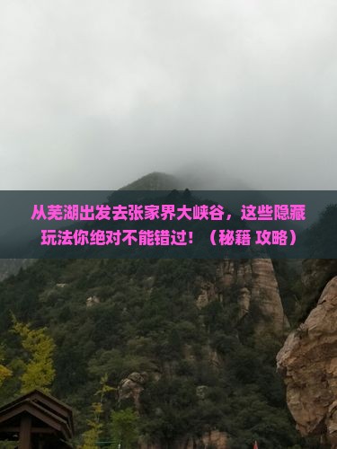 芜湖去张家界大峡谷哪里玩