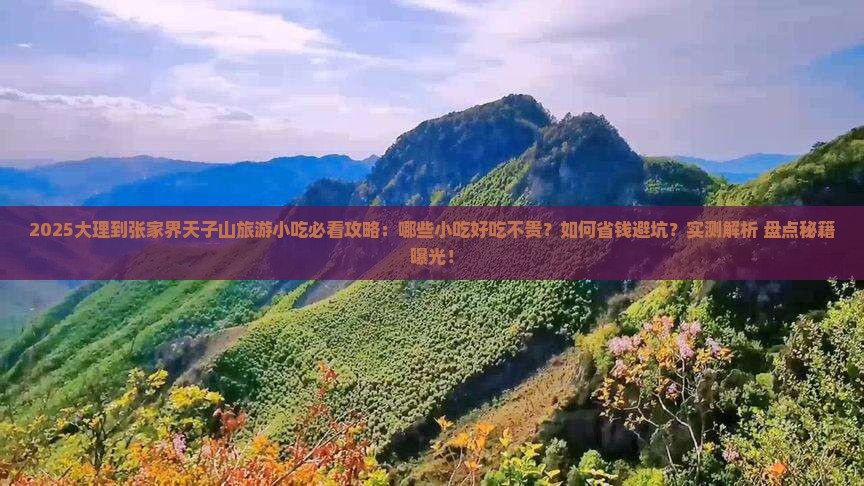 大理到张家界天子山旅游小吃