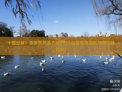 十堰去张家界凤凰古城旅行社