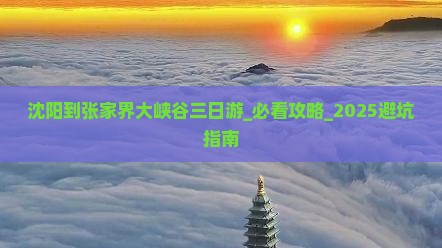 沈阳到张家界大峡谷三日游