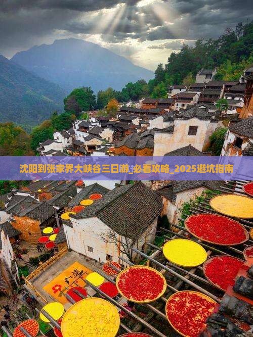 沈阳到张家界大峡谷三日游