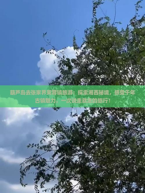 葫芦岛去张家界芙蓉镇旅游