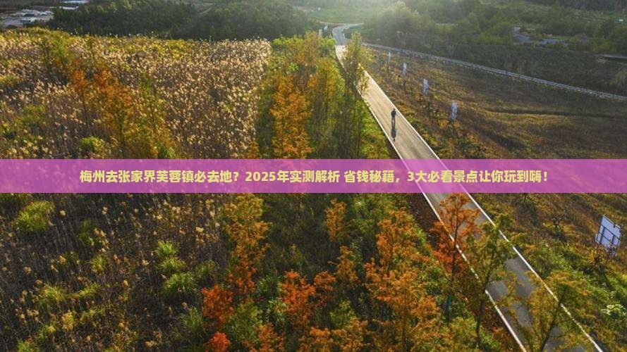 梅州去张家界芙蓉镇必去地