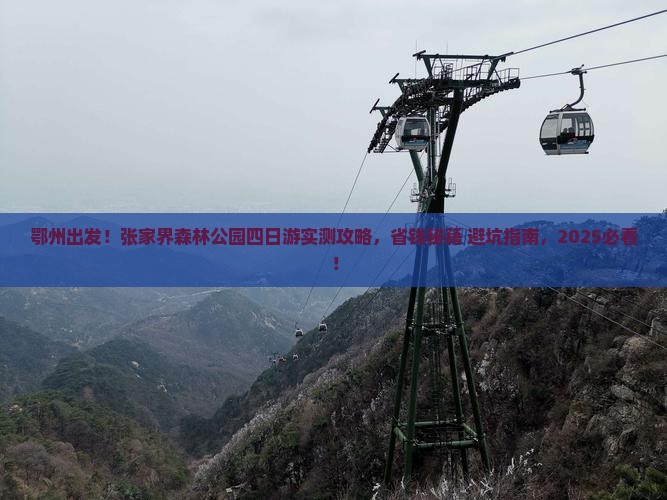鄂州去张家界森林公园四日游
