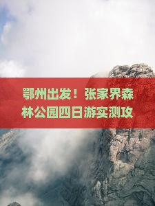 鄂州去张家界森林公园四日游