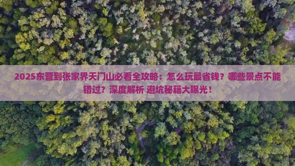 东营到张家界天门山哪里玩