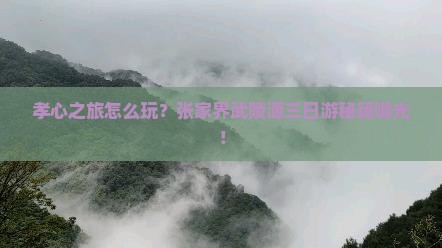 孝感到张家界武陵源三日游