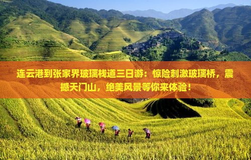 连云港到张家界玻璃栈道三日游