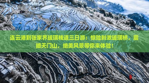 连云港到张家界玻璃栈道三日游