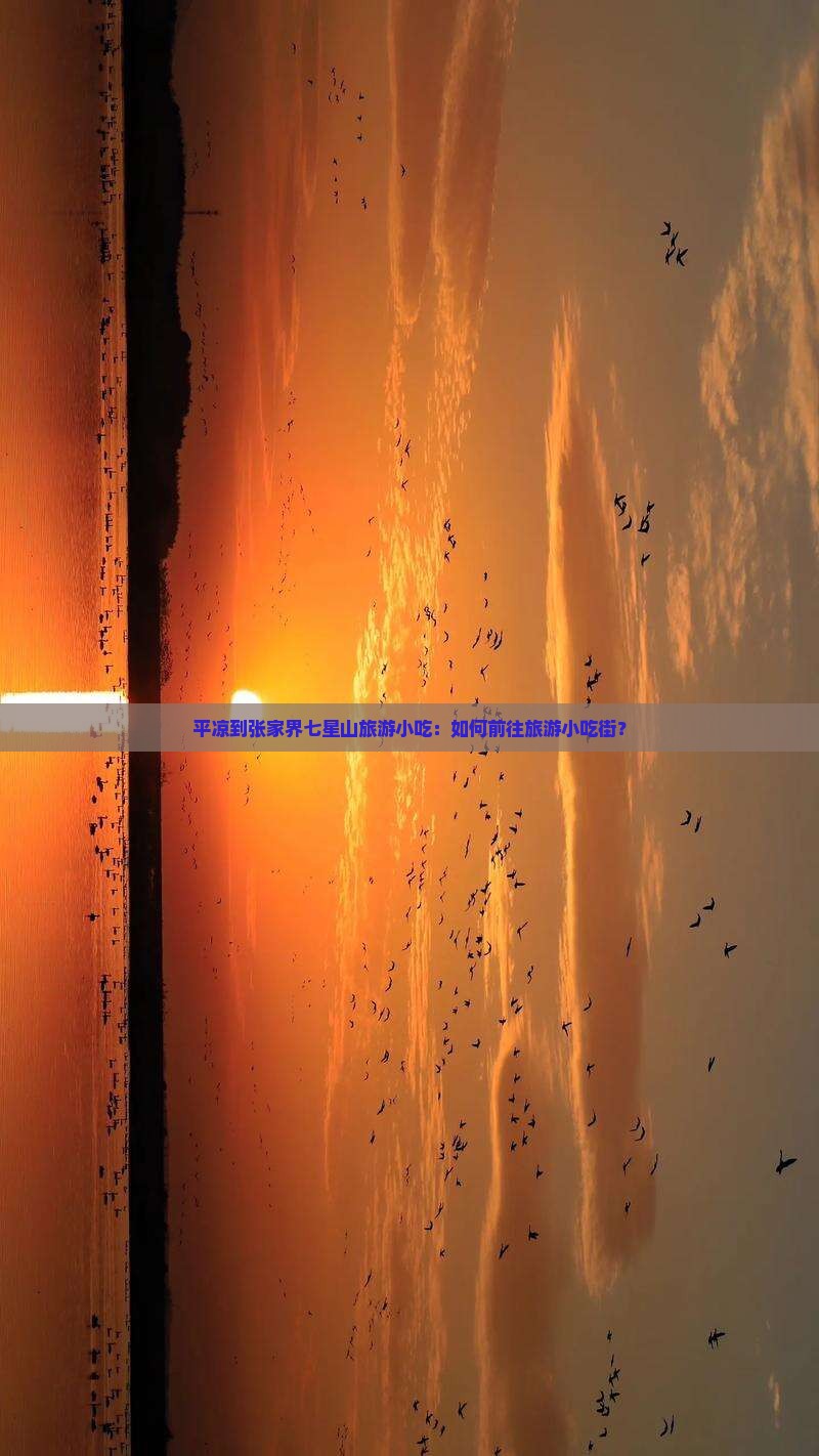 平凉到张家界七星山旅游小吃
