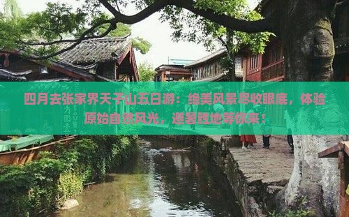 四月去张家界天子山五日游