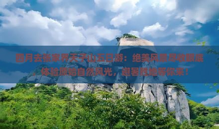 四月去张家界天子山五日游