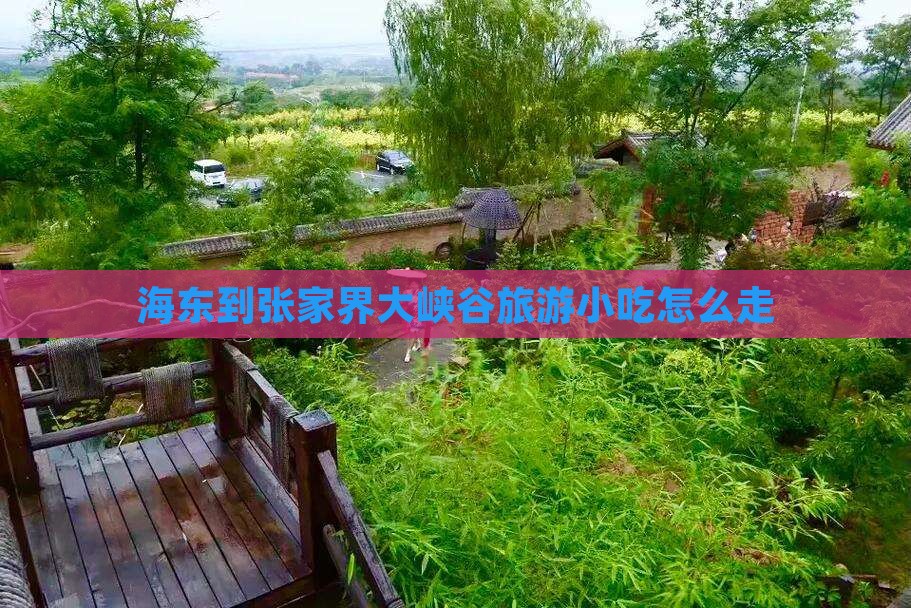海东到张家界大峡谷旅游小吃