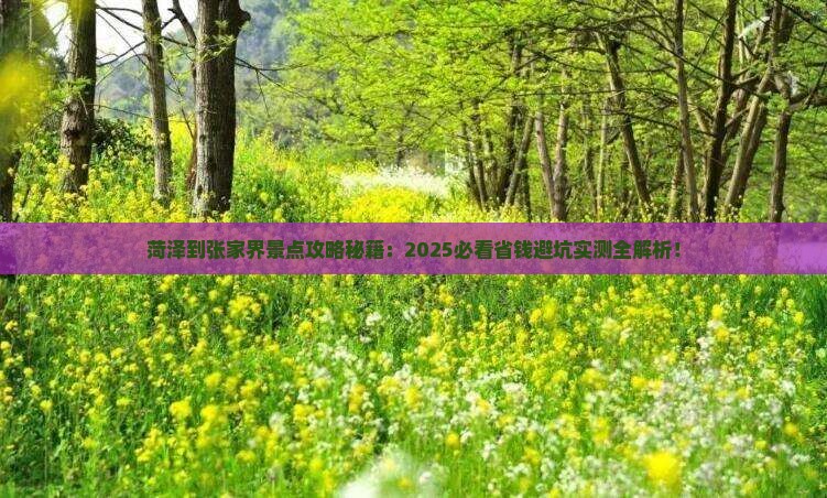 菏泽到张家界景点