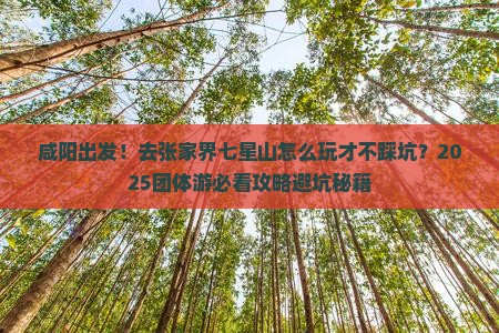 咸阳去张家界七星山团体旅游
