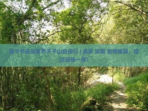 端午节去张家界天子山自由行