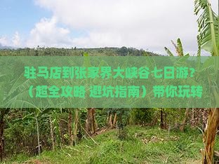 驻马店到张家界大峡谷七日游