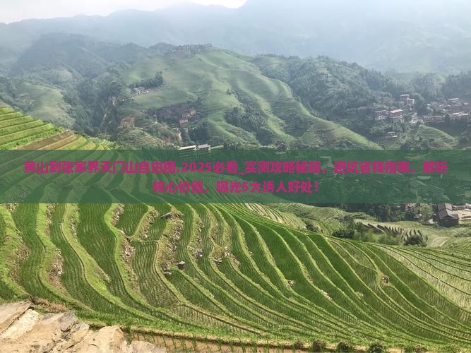 黄山到张家界天门山自由团
