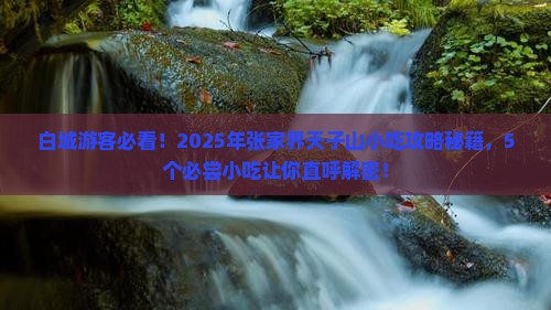 白城去张家界天子山旅游小吃