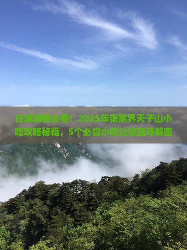 白城去张家界天子山旅游小吃