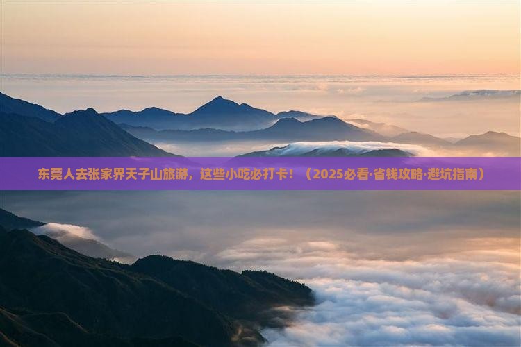 东莞去张家界天子山旅游小吃